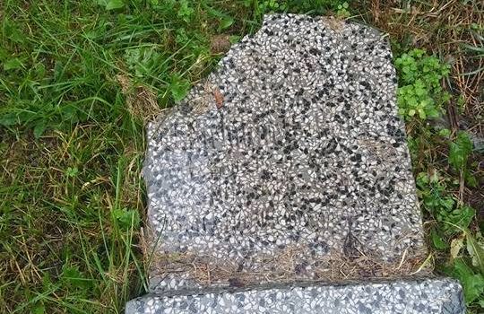 Niecodzienne odkrycie w Starym Fordonie Niecodzienne odkrycie w Starym Fordonie